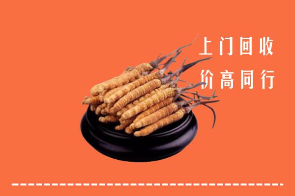 高价求购：吕梁市回收散虫草